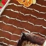 Rich and delicious chocolate cake