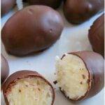 Coconut Chocolate Balls!!! – top petstips
