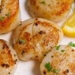Sous Vide Scallops with Lemon Butter