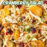 Asian Chicken Cranberry Salad