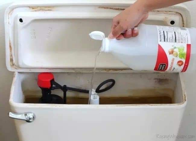 DIY Natural Toilet Cleaner