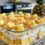 Tropical Pineapple Delight Dessert