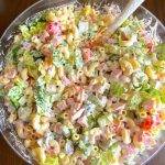 LAYERED PASTA SALAD